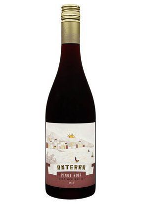 Вино Anterra Pinot Noir Terre Siciliane IGT сухе червоне 0.75/12 Італія 16407 фото